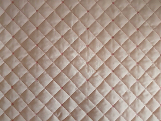 1000rpm 2 hàng máy vi tính đa kim quần áo quilting máy
